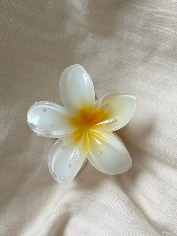 Blooming Jasmine Flower